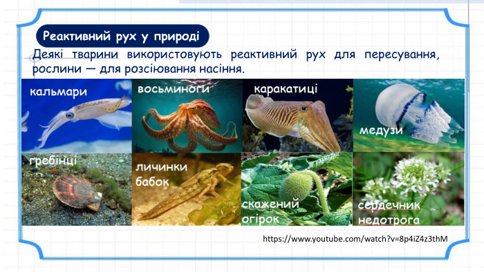 Реактивний рух у природіДеякі тварини використовують реактивний рух для пересування, рослини — для розсіювання насіння.https://www.youtube.com/watch?v=8p4i. Z4z3th. M