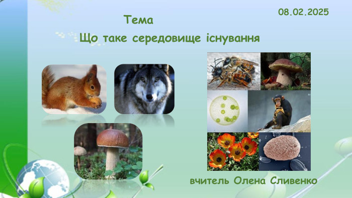 08.02.2025 Що таке середовище існування Темавчитель Олена Сливенко 