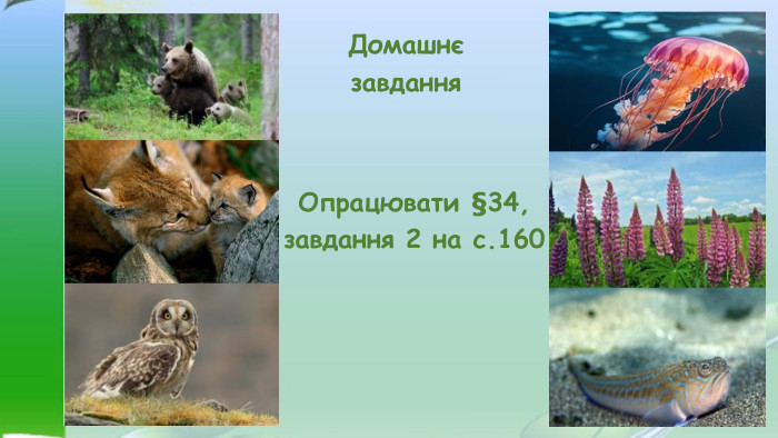 Домашнєзавдання. Опрацювати §34,завдання 2 на с.160
