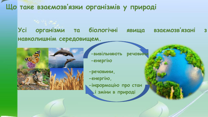 Що таке взаємозв’язки організмів у природіУсі організми та біологічні явища взаємозв’язані з навколишнім середовищем.-речовини, -енергію, -інформацію про стан і зміни в природі-вивільняють речовини -енергію