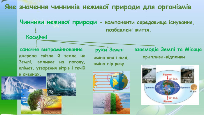 Яке значення чинників неживої природи для організмів. Чинники неживої природи - компоненти середовища існування, позбавлені життя. Космічніджерело світла й тепла на Землі, впливає на погоду, клімат, утворення вітрів і течій в океанах.сонячне випромінюваннярухи Землівзаємодія Землі та Місяцязміна дня і ночі,зміна пір рокуприпливи-відпливи