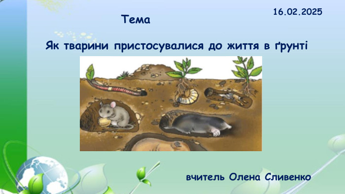 16.02.2025 Як тварини пристосувалися до життя в ґрунті Темавчитель Олена Сливенко 