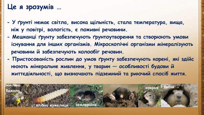 Це я зрозумів …- У ґрунті немає світла, висока щільність, стала температура, вища, ніж у повітрі, вологість, є поживні речовини.- Мешканці ґрунту забезпечують ґрунтоутворення та створюють умови існування для інших організмів. Мікроскопічні організми мінералізують речовини й забезпечують колообіг речовин.- Пристосованість рослин до умов ґрунту забезпечують корені, які здійс нюють мінеральне живлення, у тварин — особливості будови й життєдіяльності, що визначають підземний та риючий спосіб життя.хлібна жужелицяземляна бджолаземлерійкаховрахбабак