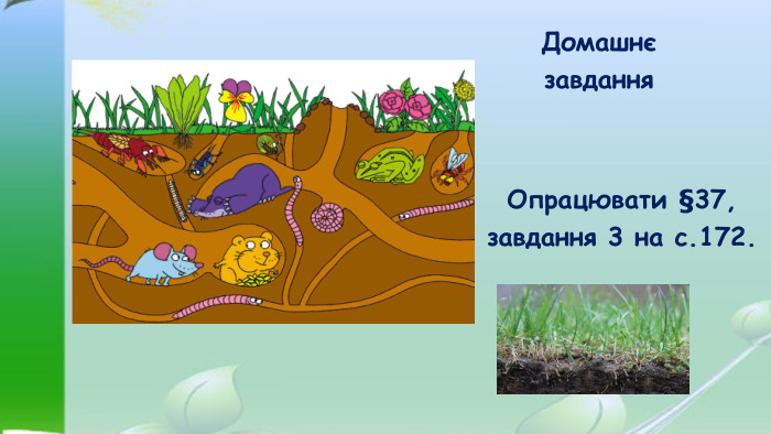 Домашнєзавдання. Опрацювати §37,завдання 3 на с.172.