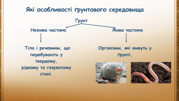 Які особливості ґрунтового середовищаҐрунт. Жива частина Тіла і речовини, що перебувають у твердому, рідкому та газуватому стані. Організми, які живуть у ґрунті. Нежива частинасліпак