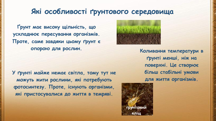 Які особливості ґрунтового середовищаҐрунт має високу щільність, що ускладнює пересування організмів. Проте, саме завдяки цьому ґрунт є опорою для рослин. У ґрунті майже немає світла, тому тут не можуть жити рослини, які потребують фотосинтезу. Проте, існують організми, які пристосувалися до життя в темряві. Коливання температури в ґрунті менші, ніж на поверхні. Це створює більш стабільні умови для життя організмів.грунтовий кліщ