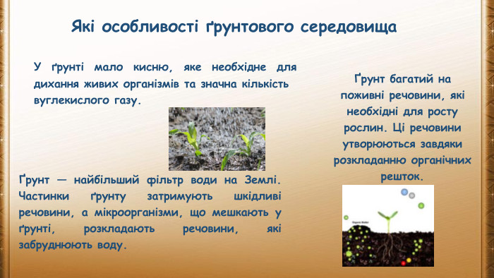 Які особливості ґрунтового середовищаҐрунт — найбільший фільтр води на Землі. Частинки ґрунту затримують шкідливі речовини, а мікроорганізми, що мешкають у ґрунті, розкладають речовини, які забруднюють воду.Ґрунт багатий на поживні речовини, які необхідні для росту рослин. Ці речовини утворюються завдяки розкладанню органічних решток. У ґрунті мало кисню, яке необхідне для дихання живих організмів та значна кількістьвуглекислого газу.