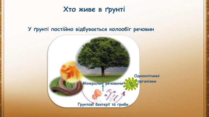 Хто живе в ґрунтіУ ґрунті постійно відбувається колообіг речовинҐрунтові бактерії та гриби. Одноклітинні організми. Мінеральні речовини