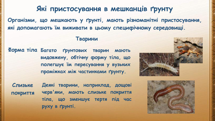 Які пристосування в мешканців ґрунту. Організми, що мешкають у ґрунті, мають різноманітні пристосування, які допомагають їм виживати в цьому специфічному середовищі. Форма тіла. Багато ґрунтових тварин мають видовжену, обтічну форму тіла, що полегшує їм пересування у вузьких проміжках між частинками ґрунту. Тварини. Слизьке покриття. Деякі тварини, наприклад, дощові черв'яки, мають слизьке покриття тіла, що зменшує тертя під час руху в ґрунті.
