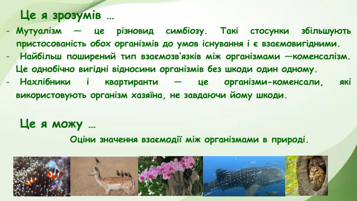 Це я зрозумів …Мутуалізм — це різновид симбіозу. Такі стосунки збільшують пристосованість обох організмів до умов існування і є взаємовигідними. Найбільш поширений тип взаємозв’язків між організмами —коменсалізм. Це однобічно вигідні відносини організмів без шкоди один одному. Нахлібники і квартиранти — це організми-коменсали, які використовують організм хазяїна, не завдаючи йому шкоди. Це я можу …Оціни значення взаємодії між організмами в природі.