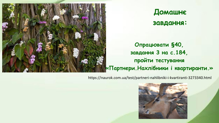 Домашнєзавдання: Опрацювати §40,завдання 3 на с.184,пройти тестування«Партнери. Нахлібники і квартиранти.»https://naurok.com.ua/test/partneri-nahlibniki-i-kvartiranti-3273340.html