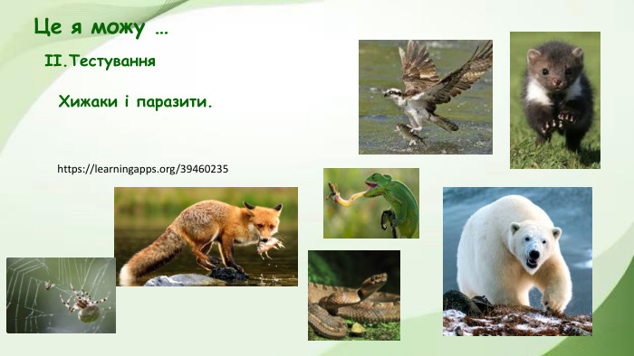 https://learningapps.org/39460235 Це я можу …Хижаки і паразити.ІІ. Тестування 