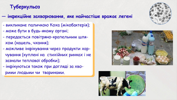 — інфекційне захворювання, яке найчастіше вражає легені- викликане паличкою Коха (мікобактерія);- може бути в будь-якому органі;- передається повітряно-крапельним шля- хом (кашель, чхання);- можливе інфікування через продукти хар- чування (куплені на стихійних ринках і не зазнали теплової обробки);- інфікуються також при догляді за хво- рими людьми чи тваринами. Туберкульоз