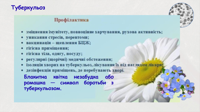 Туберкульоз. Блакитна квітка незабудка або ромашка — символ боротьби з туберкульозом.