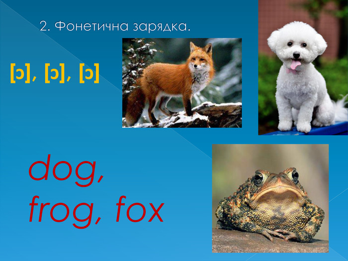 2. Фонетична зарядка.[ͻ], [ͻ], [ͻ]dog, frog, fox
