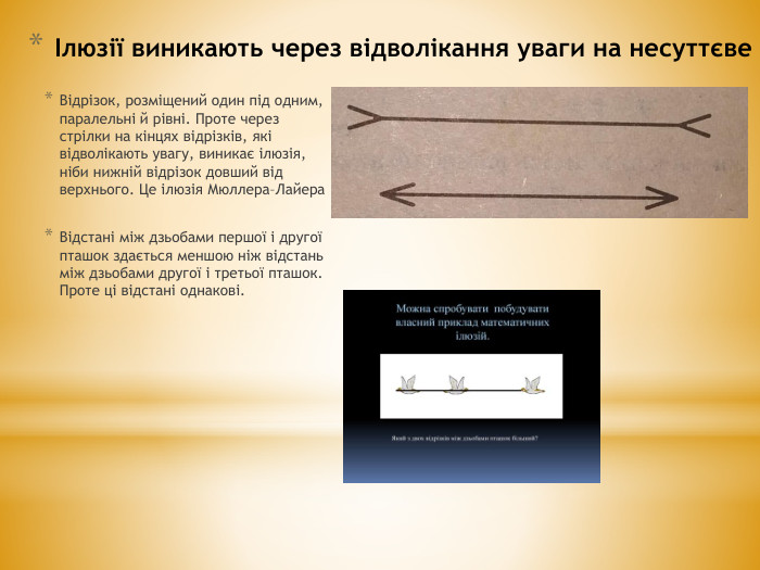 Ілюзії виникають через відволікання уваги на несуттєве. Відрізок, розміщений один під одним, паралельні й рівні. Проте через стрілки на кінцях відрізків, які відволікають увагу, виникає ілюзія, ніби нижній відрізок довший від верхнього. Це ілюзія Мюллера–Лайера. Відстані між дзьобами першої і другої пташок здається меншою ніж відстань між дзьобами другої і третьої пташок. Проте ці відстані однакові.