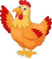 45169075-stock-vector-chicken-hen-waving-hand-on-white-background.jpg