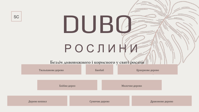  Р О С Л И Н ИБезліч дивовижного і корисного у святі рослин. Тюльпанове дерево. Баобаб. Цукеркове дерево. Хлібне дерео. Молочне дерево. SCDUBOСуничне дерево Дерево кеппел. Драконове дерево