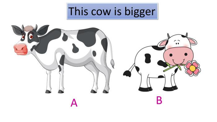 ABThis cow is biggerstyle.colorfillcolorfill.typefill.onrrrrr