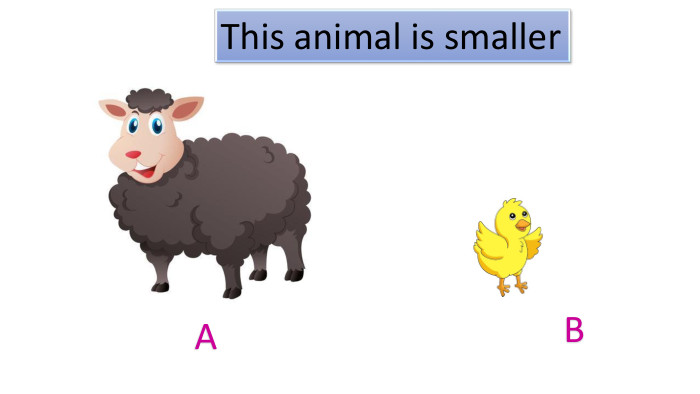 BAThis animal is smallerstyle.colorfillcolorfill.typefill.onrrrrr