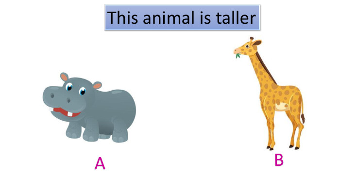 BAThis animal is tallerstyle.colorfillcolorfill.typefill.onrrrrr