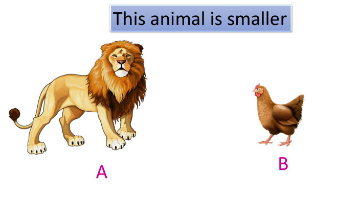 ABThis animal is smallerstyle.colorfillcolorfill.typefill.onrrrrr
