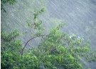 Закарпатські синоптики попереджають про грози та сильні зливи сьогодні @  Закарпаття онлайн