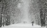 В України йдуть похолодання і снігопади • Новини • Місто Прилуки