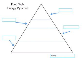 Unlabeled-Blank-Food-Pyramid