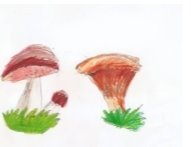 C:\Users\Ирина\AppData\Local\Microsoft\Windows\INetCache\Content.Word\childrens-childhood-drawings-nature-drawing-mushrooms-42763.jpg