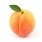 C:\Users\USER\Desktop\depositphotos_10997343-stock-photo-sweet-ripe-apricot-with-leaves.jpg