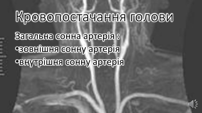 Кровопостачання голови. Загальна сонна артерія :зовнішня сонну артерія внутрішня сонну артерія