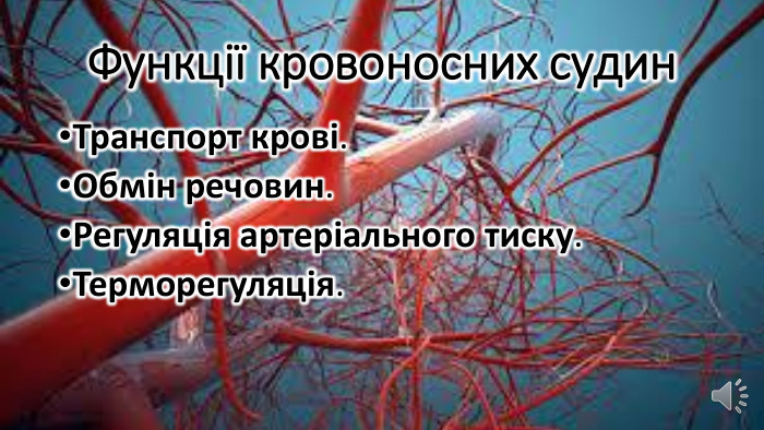 Функції кровоносних судин. Транспорт крові. Обмін речовин. Регуляція артеріального тиску. Терморегуляція.