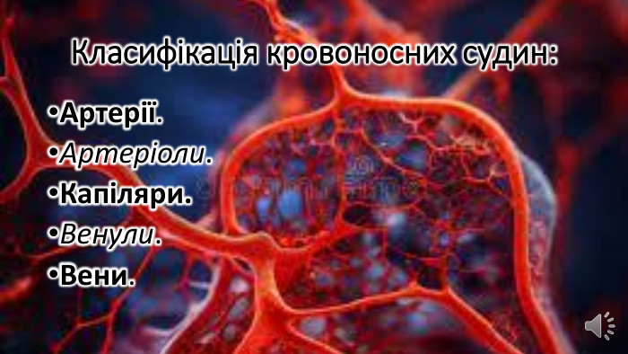 Класифікація кровоносних судин: Артерії. Артеріоли. Капіляри. Венули. Вени.