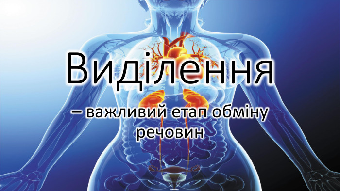 Виділення– важливий етап обміну речовин