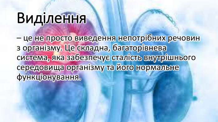Виділення– це не просто виведення непотрібних речовин з організму. Це складна, багаторівнева система, яка забезпечує сталість внутрішнього середовища організму та його нормальне функціонування.