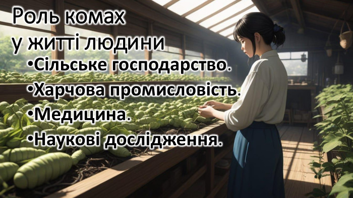 Роль комах у житті людини. Сільське господарство. Харчова промисловість. Медицина. Наукові дослідження.