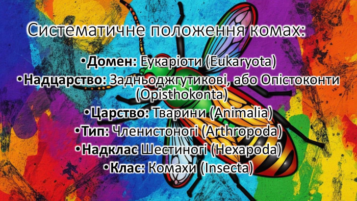 Систематичне положення комах: Домен: Еукаріоти (Eukaryota)Надцарство: Задньоджгутикові, або Опістоконти (Opisthokonta)Царство: Тварини (Animalia)Тип: Членистоногі (Arthropoda)Надклас Шестиногі (Hexapoda)Клас: Комахи (Insecta)