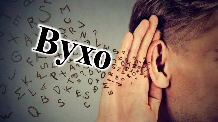 Вухо