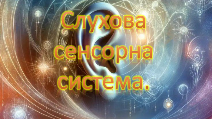 Слухова сенсорна система.rrrrrrrrrrrrrrr