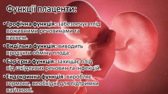 Функції плаценти: Трофічна функція: забезпечує плід поживними речовинами та киснем. Видільна функція: виводить продукти обміну плода. Бар'єрна функція: захищає плід від шкідливих речовин та інфекцій. Ендокринна функція: виробляє гормони, необхідні для підтримки вагітності.