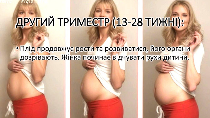 Другий триместр (13-28 тижні): Плід продовжує рости та розвиватися, його органи дозрівають. Жінка починає відчувати рухи дитини.