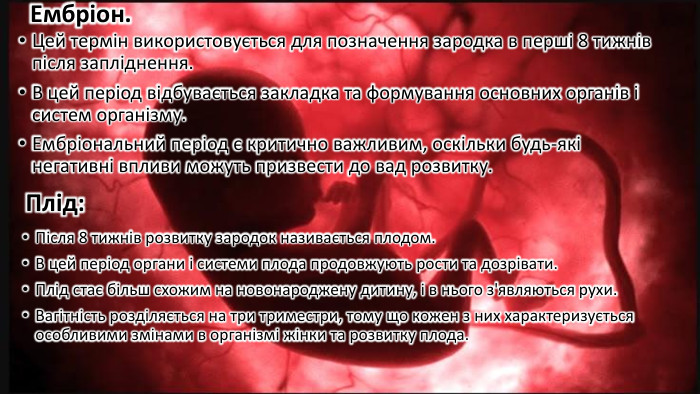 Ембріон. Цей термін використовується для позначення зародка в перші 8 тижнів після запліднення. В цей період відбувається закладка та формування основних органів і систем організму. Ембріональний період є критично важливим, оскільки будь-які негативні впливи можуть призвести до вад розвитку. Плід: Після 8 тижнів розвитку зародок називається плодом. В цей період органи і системи плода продовжують рости та дозрівати. Плід стає більш схожим на новонароджену дитину, і в нього з'являються рухи. Вагітність розділяється на три триместри, тому що кожен з них характеризується особливими змінами в організмі жінки та розвитку плода. 