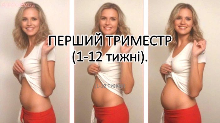 Перший триместр(1-12 тижні).(1-12 тижні)