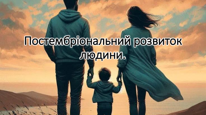 Постембріональний розвиток людини.