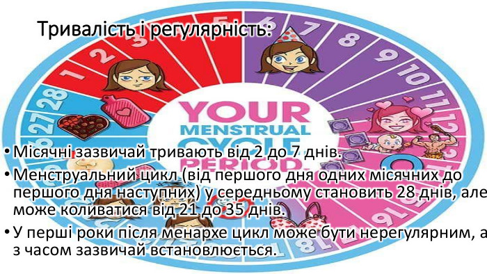 Тривалість і регулярність: Місячні зазвичай тривають від 2 до 7 днів. Менструальний цикл (від першого дня одних місячних до першого дня наступних) у середньому становить 28 днів, але може коливатися від 21 до 35 днів. У перші роки після менархе цикл може бути нерегулярним, але з часом зазвичай встановлюється.