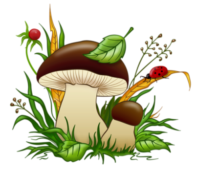 Картинки по запросу малюнок грибів