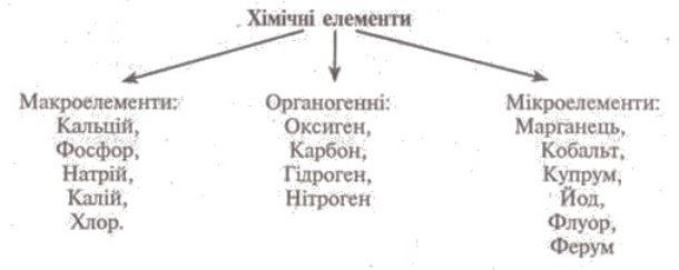 http://www.subject.com.ua/lesson/biology/9klas/9klas.files/image071.jpg