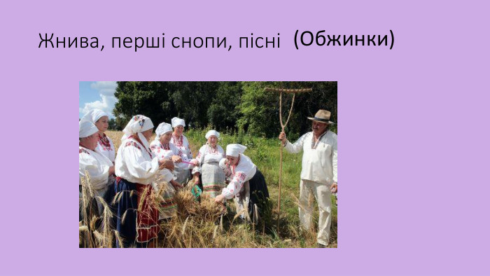 Жнива, перші снопи, пісні(Обжинки)