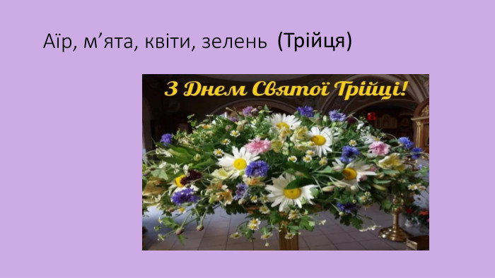  Аїр, м’ята, квіти, зелень(Трійця)